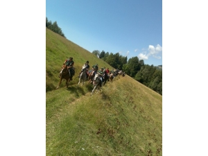 Rutas y excursiones a caballo