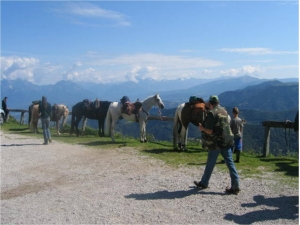 Randonnée à cheval dans les Préalpes de Trévise