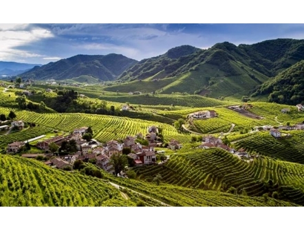 The Hills of Prosecco Conegliano and Valdobbiadene are recognized as Unesco World Heritage.