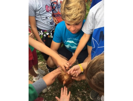 Ferien auf dem Bauernhof Sommer 2024